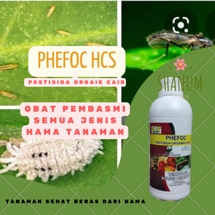 PHEFOC HCS Pestisida Herbisida Fungisida Organik Cair Obat Pembasmi