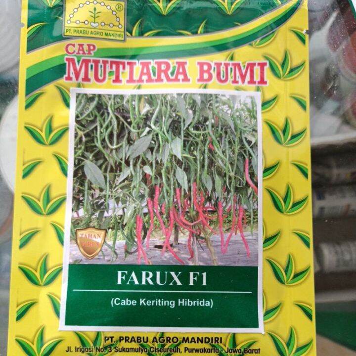 Benih Cabe Cabai Keriting Hibrida Farux F1 Cap Mutiara Bumi Isi 10 Gram