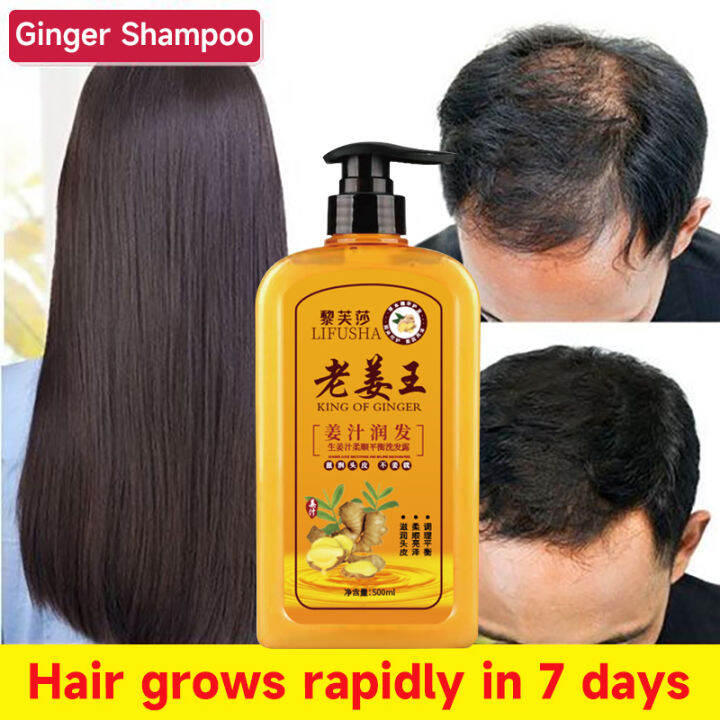 500ML Original Natural Ginger Shampoo Anti Hair Loss Herbal Ginger