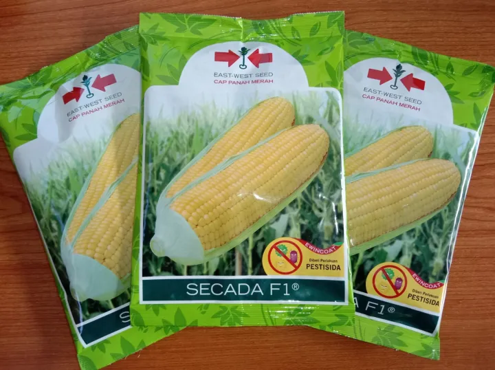 Benih Jagung Manis Secada F Cap Panah Merah Butir Scada Lazada