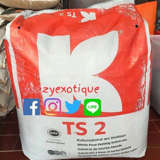 Ready Media Tanam Peat Moss Klasmann Ts2 Fertilized Substrate Bmkbt9