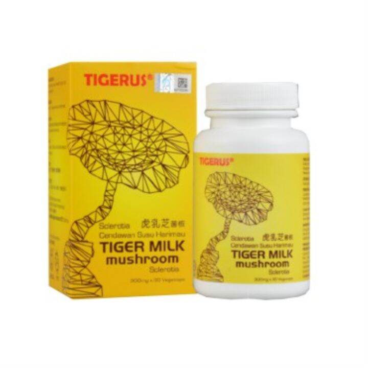 2022 Tigerus Tiger Milk Mushroom Capsule 420mg 60s Lazada