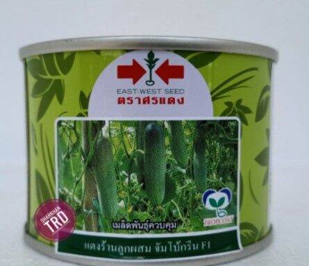 Malaysia Stock Tin G Jumbo Green F Biji Benih Timun Batang Besar Cap