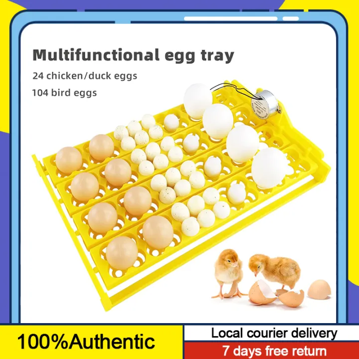 V Automatic Egg Incubator Eggs Turner Tray With Auto Turn Motor