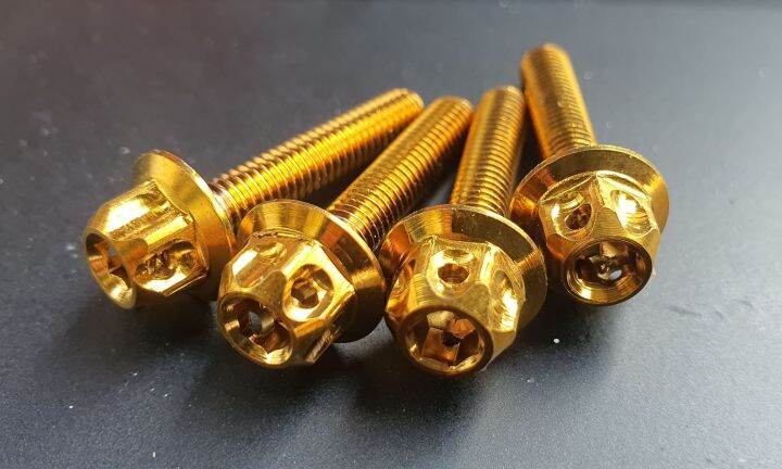 Cnc Visor Windshield Bolts Gold Lazada Ph