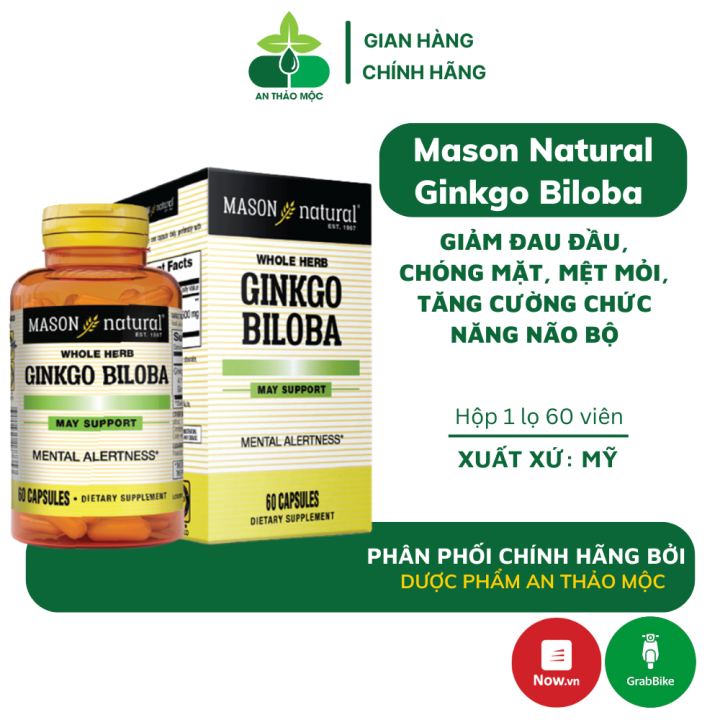 Vi N U Ng Mason Natural Ginkgo Biloba H Tr Ch C N Ng N O B H Th N