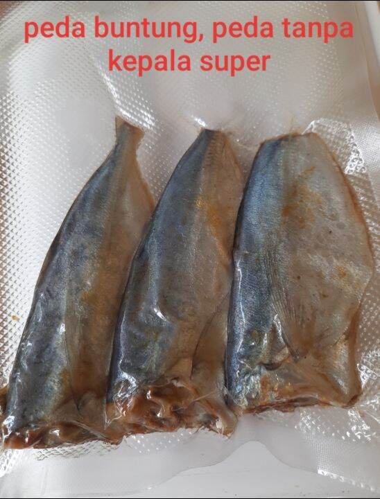 Ikan Asin Peda Potong Tanpa Kepala Gram Kg Lazada Indonesia