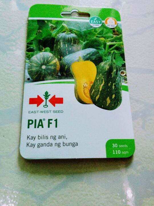 PIA F1 HYBRID SQUASH SEEDS 30 SEEDS BY EAST WEST SEEDS Lazada PH