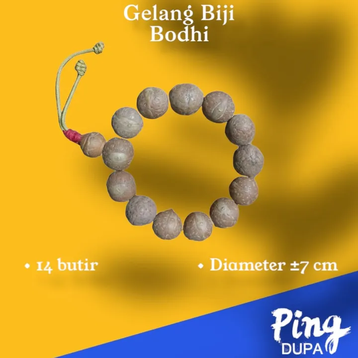 Gelang Bodhi Mala Biji Pohon Bodhi Dari Lumbini Nepal Lazada Indonesia