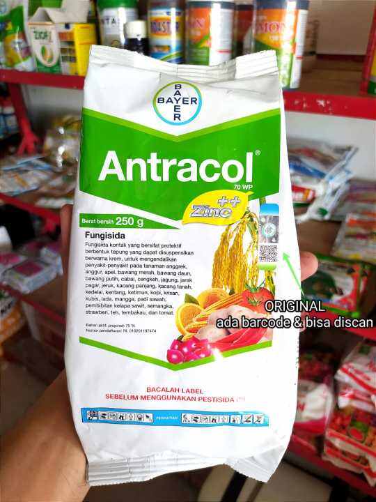 Fungisida Kontak ANTRACOL 70 WP Plus Zinc ORIGINAL 100 Obat Jamur