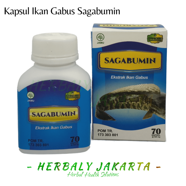 Albumin Kapsul Ekstrak Ikan Gabus Kutuk Protein Original Lazada