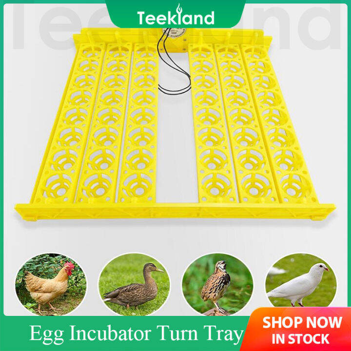 Teekland 48 Chicken Egg Incubator Turn Tray Poultry Incubation