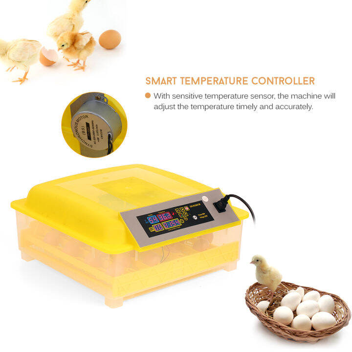 Eggs Intelligent Automatic Egg Incubator Temperature Control Hatcher