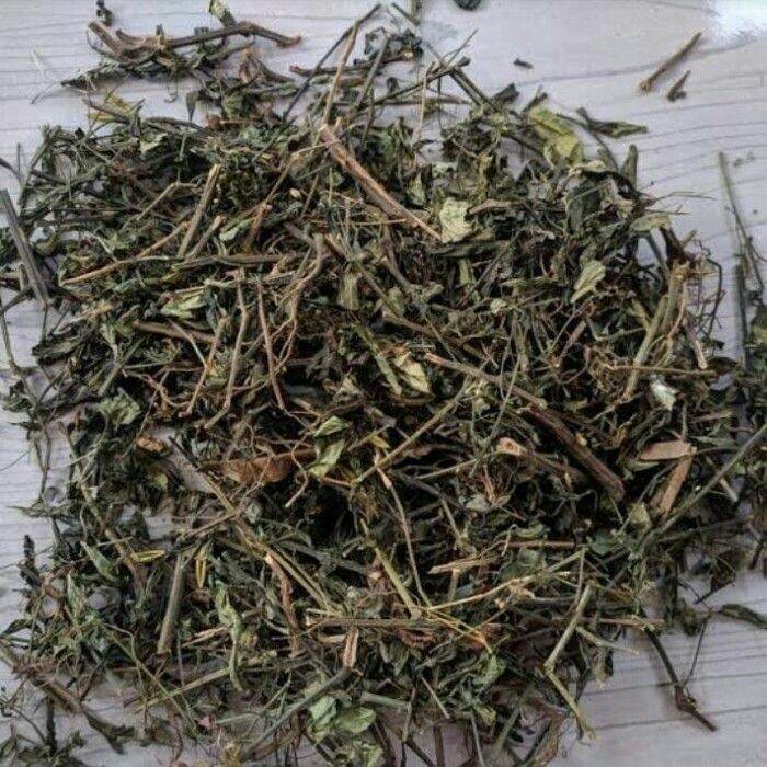 Daun Sambiloto Kering 1 2 Kg Lazada Indonesia