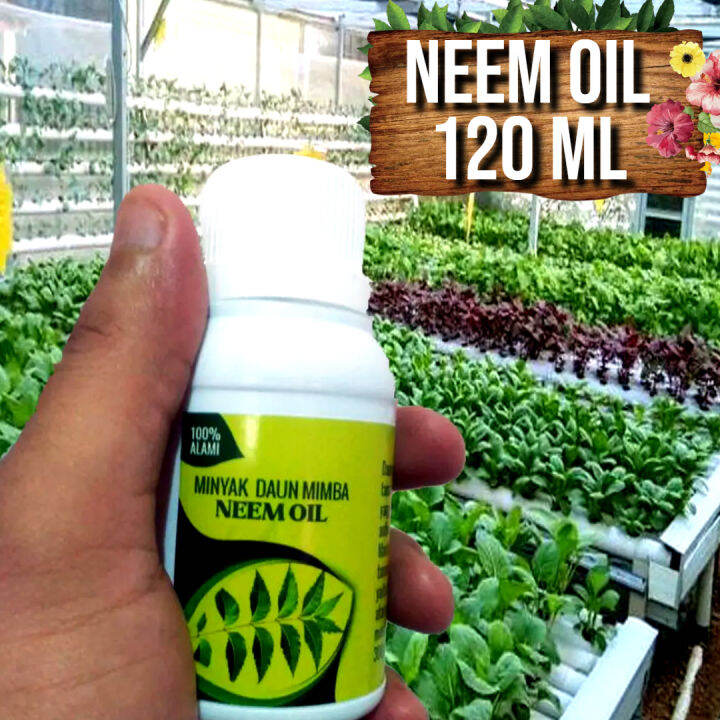 Pestisida Organik Pestisida Nabati Neem Oil Ml Minyak Daun