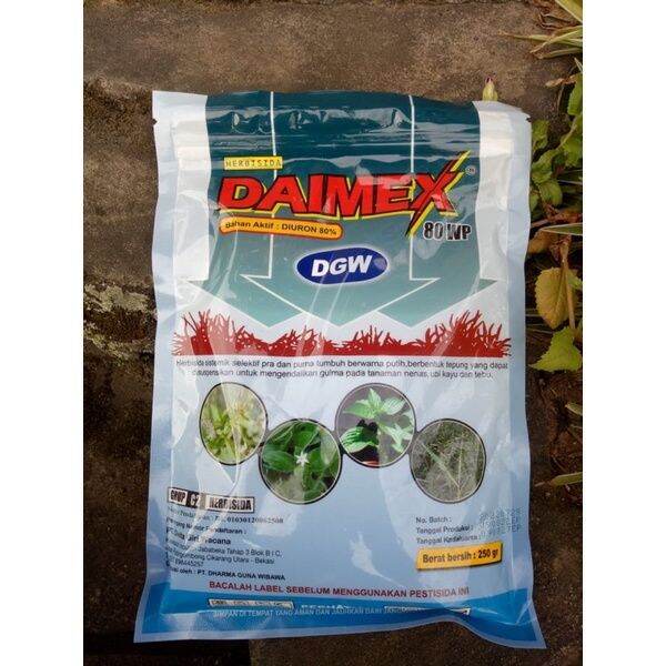 Herbisida Daimex 80 WP 250 Gram Lazada Indonesia