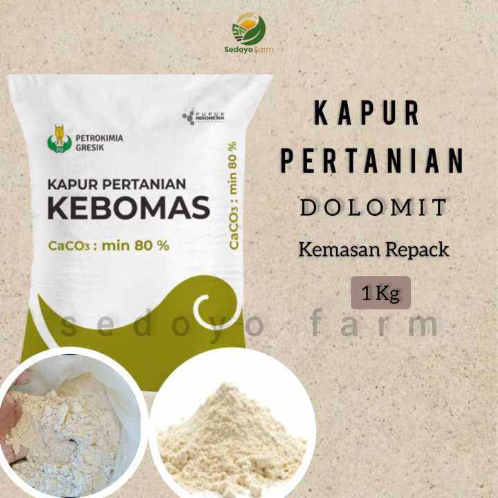 Kapur Pertanian Dolomit Kebomas Kemasan Repack 1Kg Lazada Indonesia