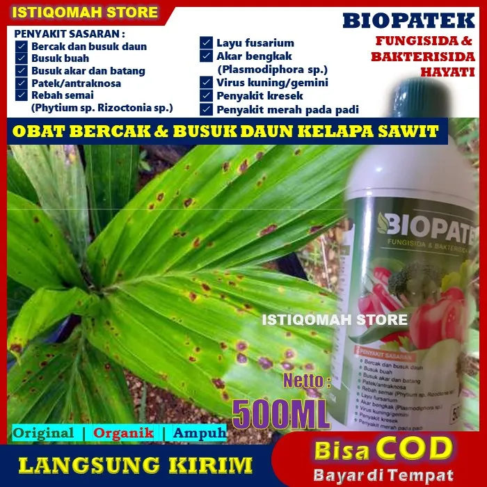 Cod Murah Obat Bercak Daun Kelapa Sawit Biopatek Ml Fungisida