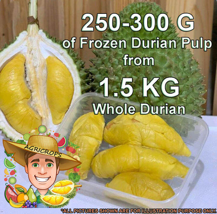 FRESH FROZEN Durian Musang King Pulp 250g 300g KL Selangor Only