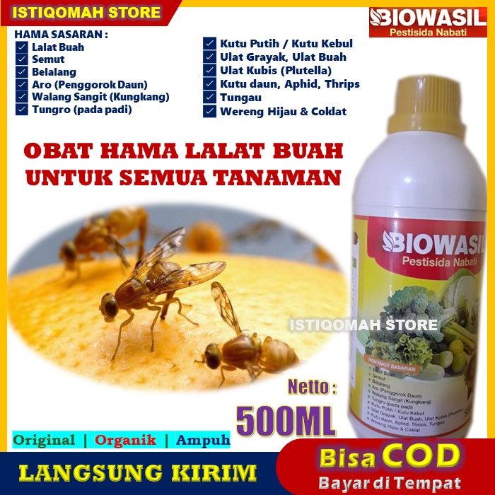 Obat Pembasmi Lalat Buah Biowasil Ml Pestisida Nabati Insektisida