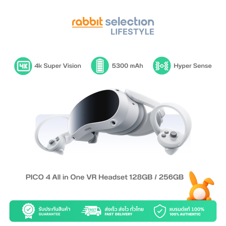 Pico All In One Vr Headset K Gb Gb Starter Pack