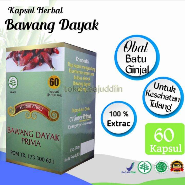 Kapsul Herbal Extrak Bawang Dayak 60kaps Cara Ampuh Atasi Diabetes Obat