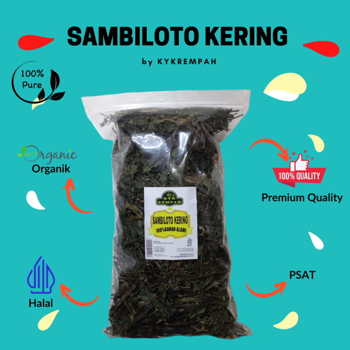 Daun Sambiloto Kering Gram Lazada Indonesia