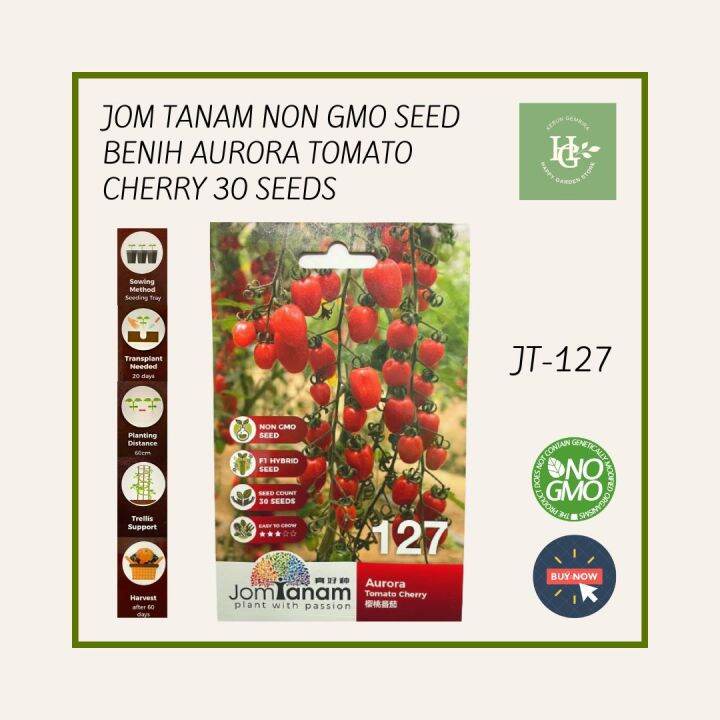 JOM TANAM BY CROP POWER AURORA TOMATO CHERRY BENIH TOMATO CERI 30