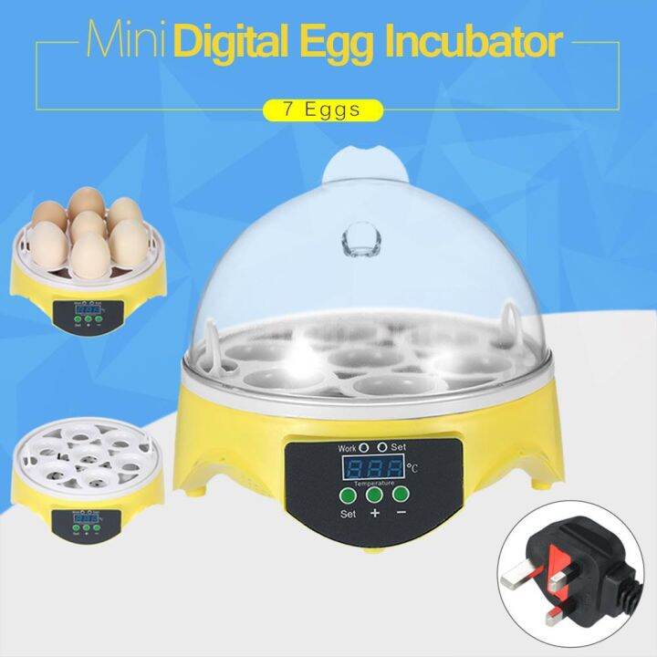 Hf Eggs Mini Digital Egg Incubator Hatcher Transparent Eggs Hatching