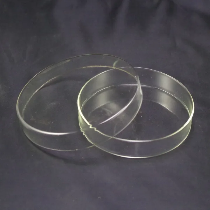 Lab Glass Mm Petri Dishes With Lids Clear Glass Pcs Lab Petri Dish