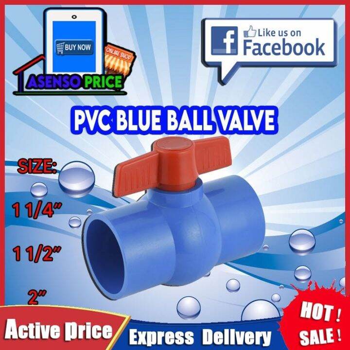 Pvc Blue Ball Valve Water Stopper Gate Valve