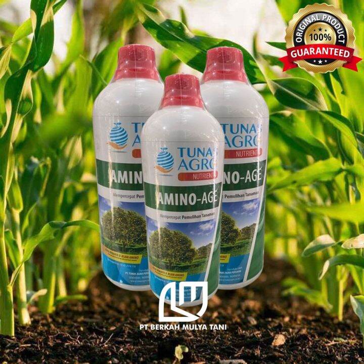 Asam Amino Age Tunas Agro 1 Liter Pupuk Nutrients Tanaman Lazada