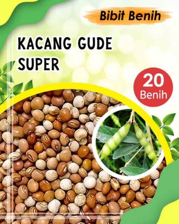 Benih Kacang Gude Super 20 Biji Bibit Kacang Sayuran Murah Benih