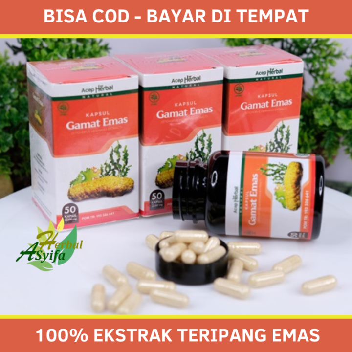 Kapsul Gamat Emas Ekstrak Teripang Emas Kapsul Herbal Lazada