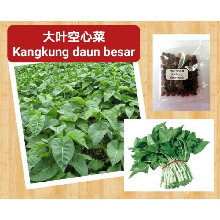 Malaysia Stock VEGETABLE SEED BIJI BENIH SAYUR BUAH 2 Jenis Benih