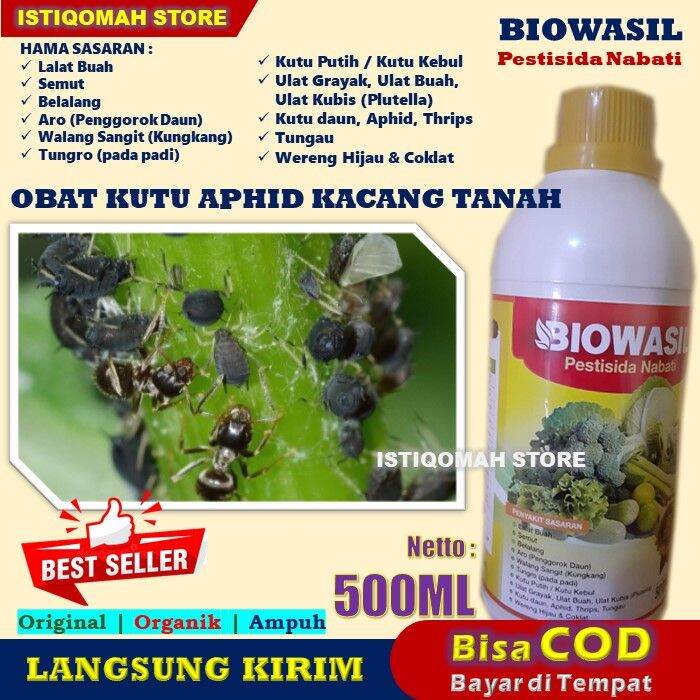 PESTISIDA NABATI Obat Pembasmi Hama Kutu Aphid Kacang Tanah BIOWASIL