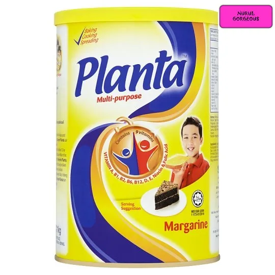 Planta Multi Purpose Margarine 240g 480g 1kg 2 5kg Lazada