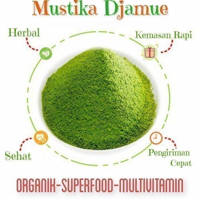 Bubuk Daun Jahe Gajah Kg Kitab Tanaman Herbal Nusantara Organik