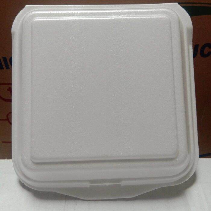 Styrofoam Box Nasi Kotak Styrofoam Nasi Gabus Pc Polos Lazada