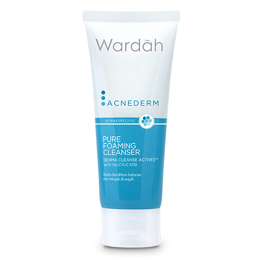 Wardah Acnederm Pure Foaming Cleanser Ml Facial Wash Sabun Cuci