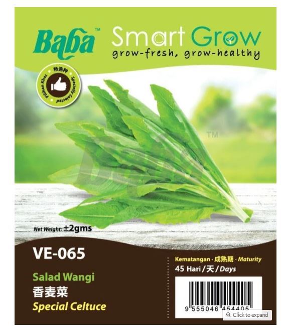 Ghz Baba Smart Grow Seed Ve Special Celtuce Vege Seed Biji Benih