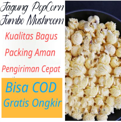 Biji Jagung Popcorn Mentah Jumbo Mushroom Isi 100 Gram Kualitas Import