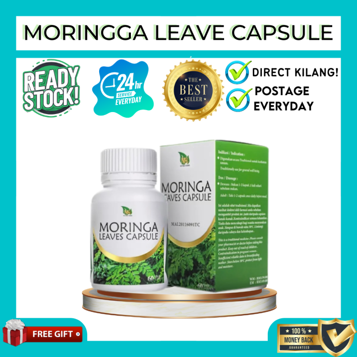 DIRECT KILANG MORINGA KAPSUL MORINGA MORINGA OLEIFERA KAPSUL