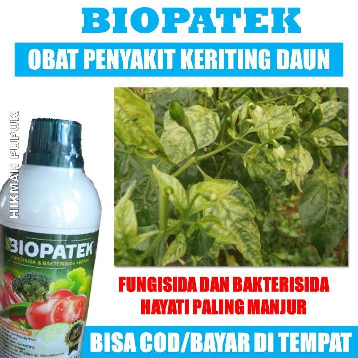 BIOPATEK Obat Hama Daun Keriting Kuning Cabe Dan Timun Tomat Pupuk