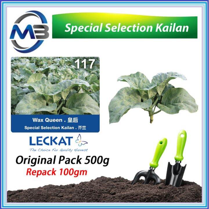 100g 500g LECKAT 117 KAILAN WAX QUEEN SPECIAL SELECTED KAILAN REPACK