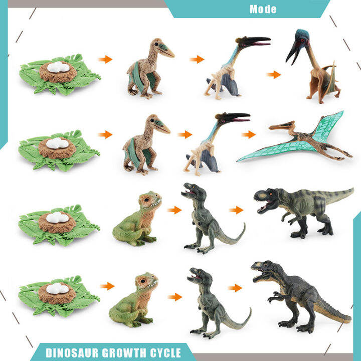 Jurassic Dinosaur Life Cycle Pterosaur Tyrannosaurus Growth Cycle Model