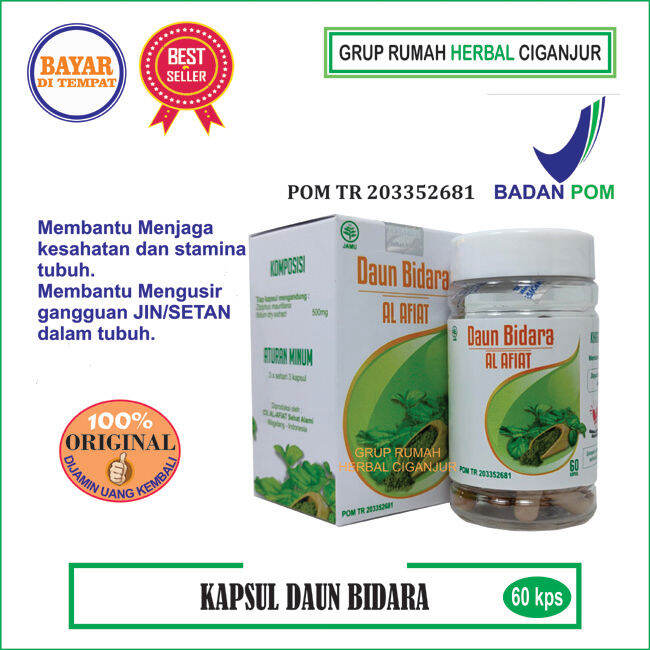 Kapsul Ekstrak Daun Bidara Al Afiat Kapsul Lazada Indonesia