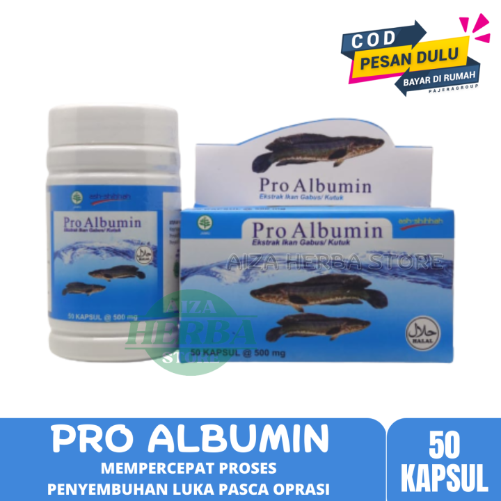 Ash Shihah Pro Albumin Ekstrak Ikan Gabus Kapsul Proalbumin