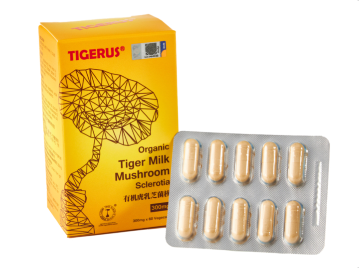 TIGERUS ORGANIC TIGER MILK MUSHROOM SCLEROTIA 300MG X 60 S EXP