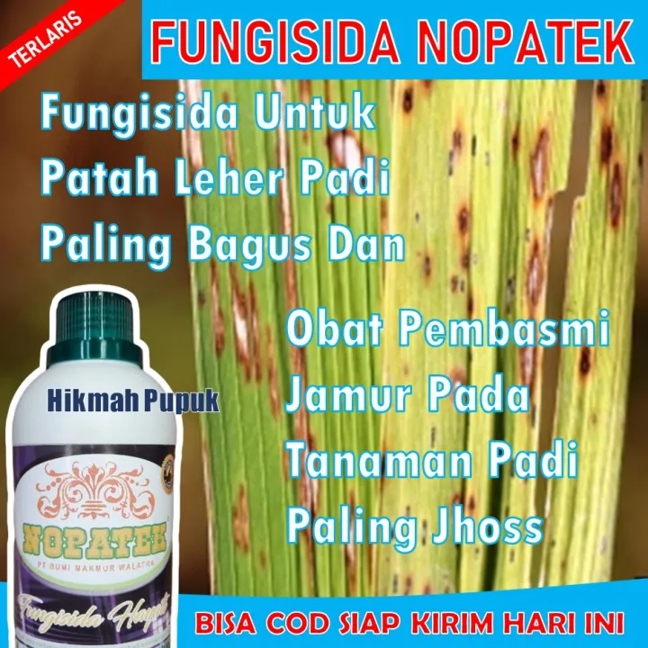 Produk Terlaris Nopatek Fungisida Untuk Patah Leher Padi Paling Bagus